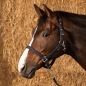Halfterset Glitzer