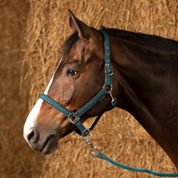 Halfterset Glitzer