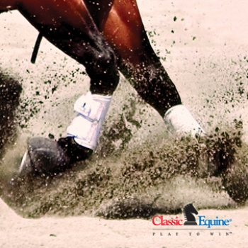 Splint Boots von Classic Equine