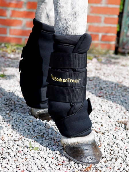 Back on Track Stallgamaschen Royal
