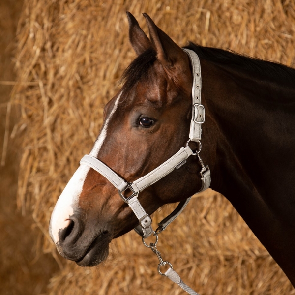 Halfterset Glitzer
