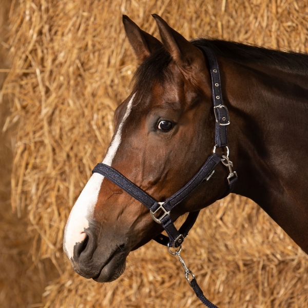 Halfterset Glitzer
