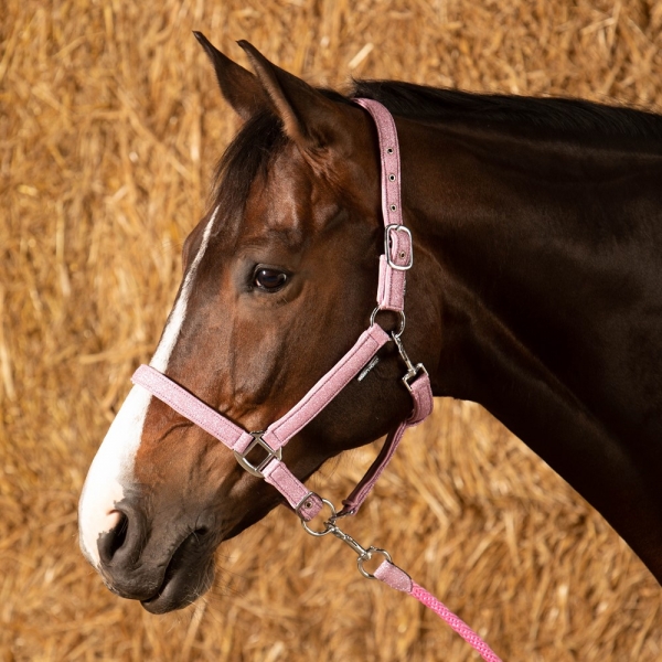 Halfterset Glitzer