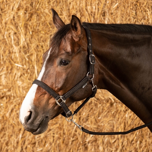 Halfterset Glitzer