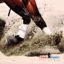 Splint Boots von Classic Equine